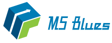 MS-Blues Business review Service